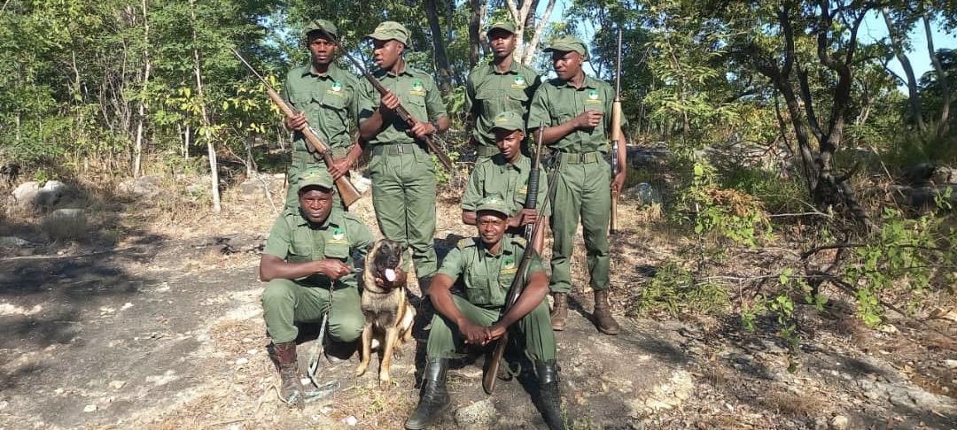 GRTTS Anti-Poaching and K-9 Unit Mavhuradonha