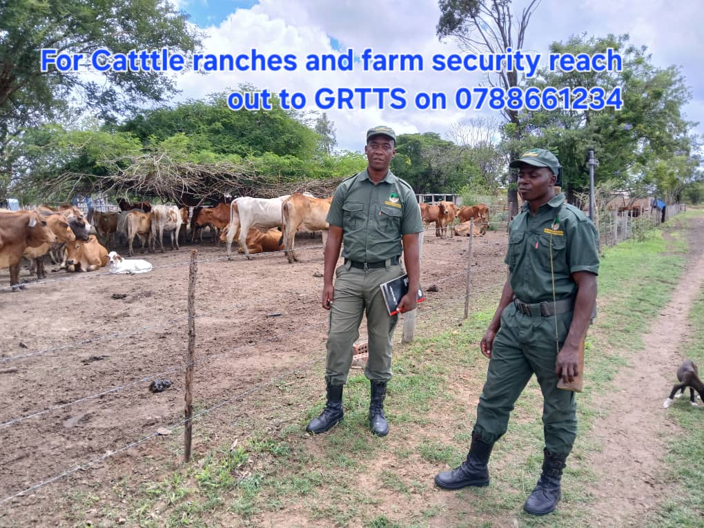 Riverside Agro Farm – Beatrice