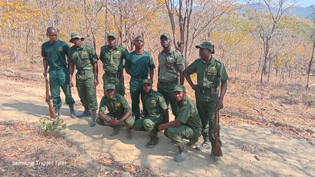 Matendere Ranch – Save Valley Conservancy